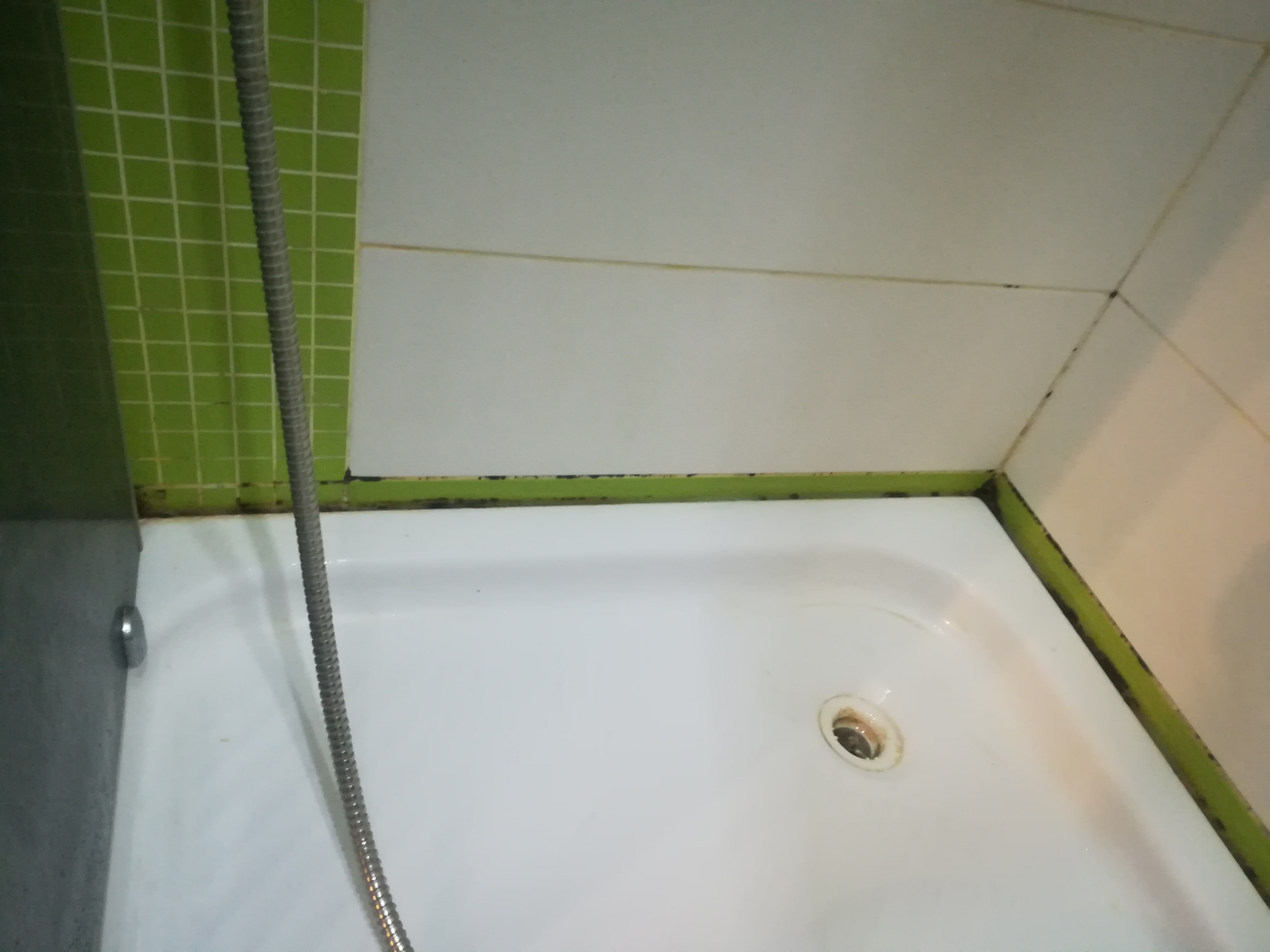 Генералка Ванной Удаление плесени До